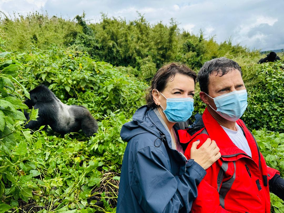 Trekking Mountain Gorillas, Chimpanzees and Golden Monkey