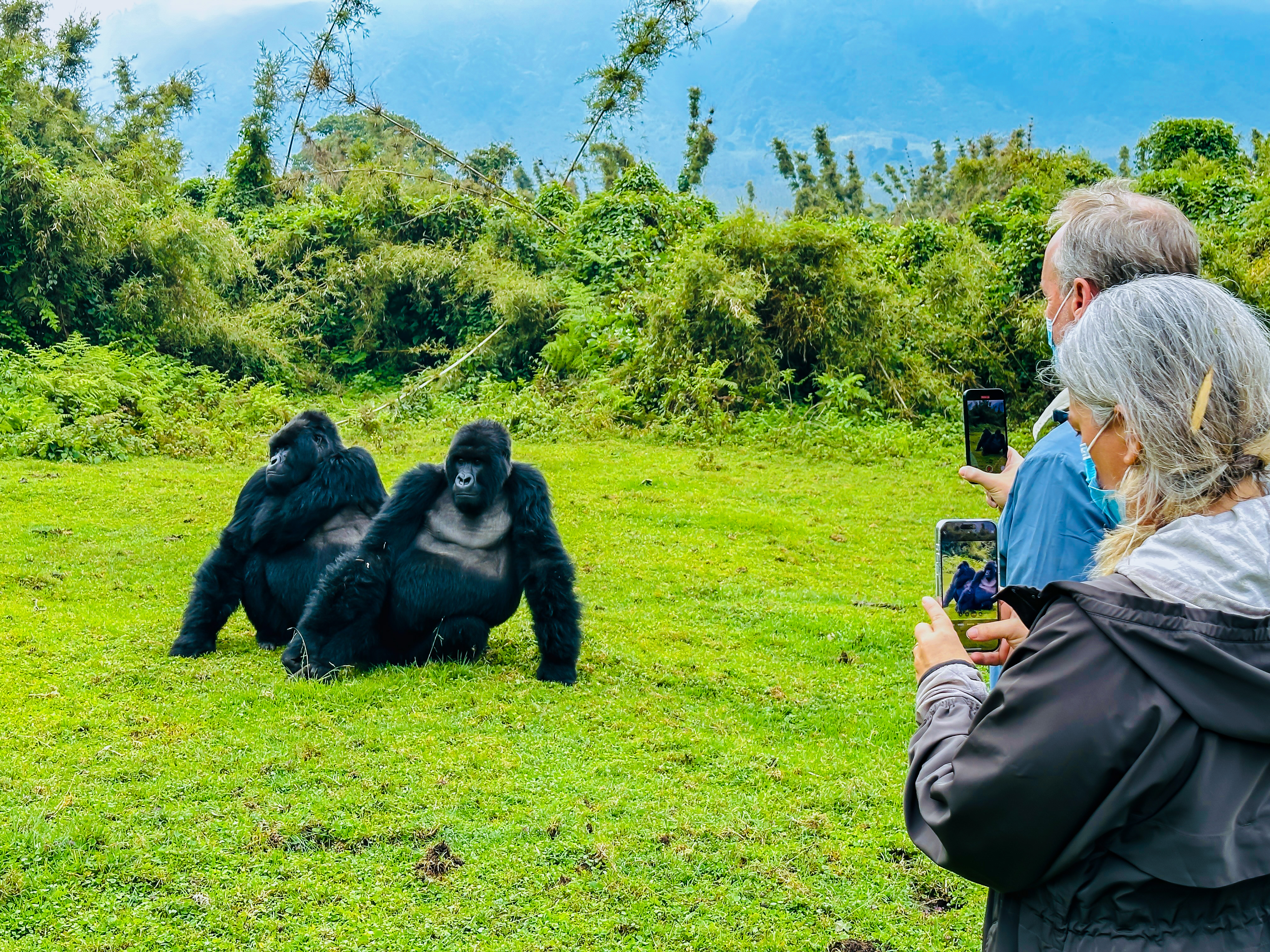 Face-to-face with gentle giants in their natural habitat