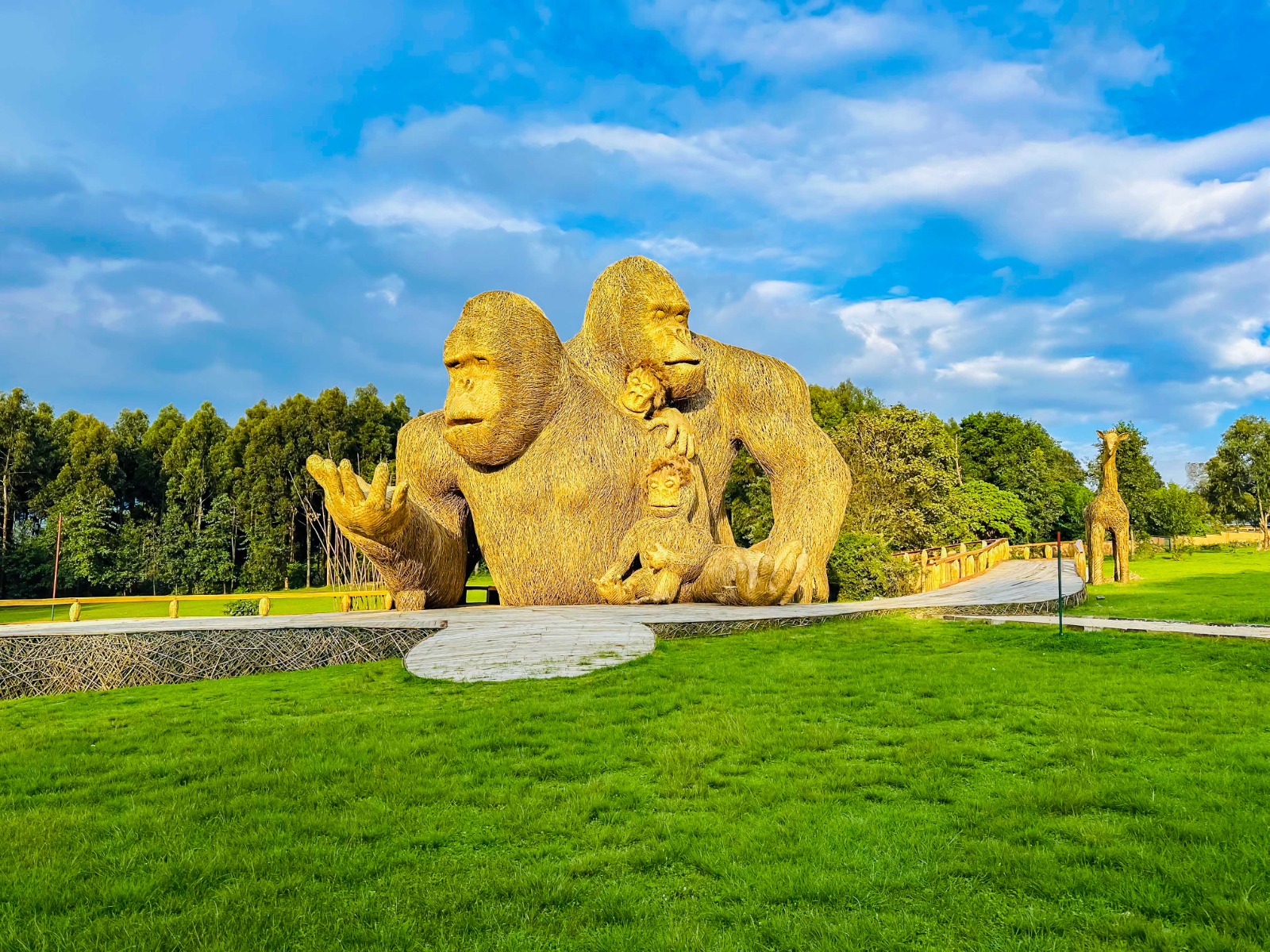 Kwita Izina 2025 – Rwanda’s 20th Gorilla Naming Ceremony