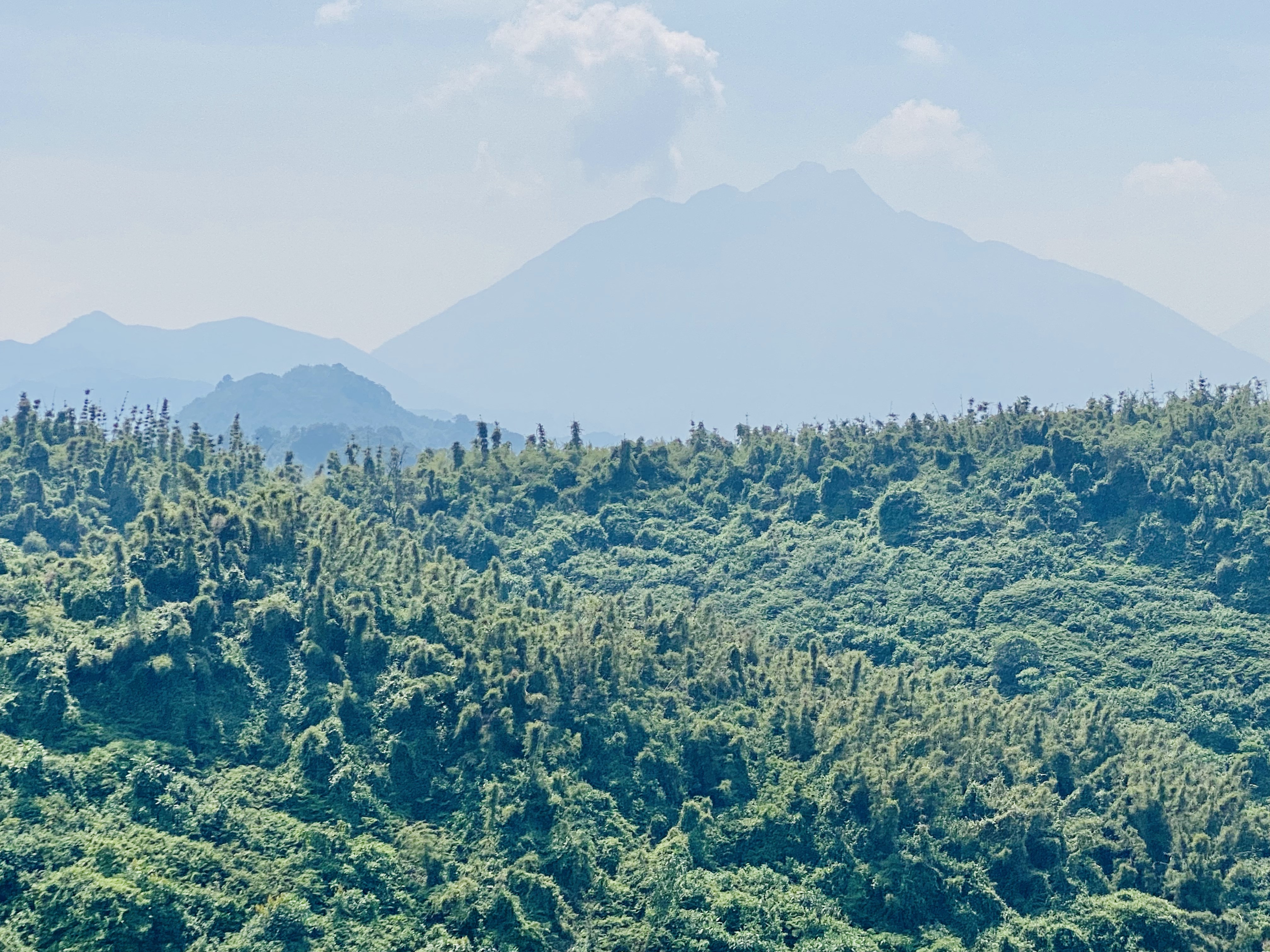 Pack with Purpose: Essential Tips for Your Unforgettable Gorilla Trek in Rwanda