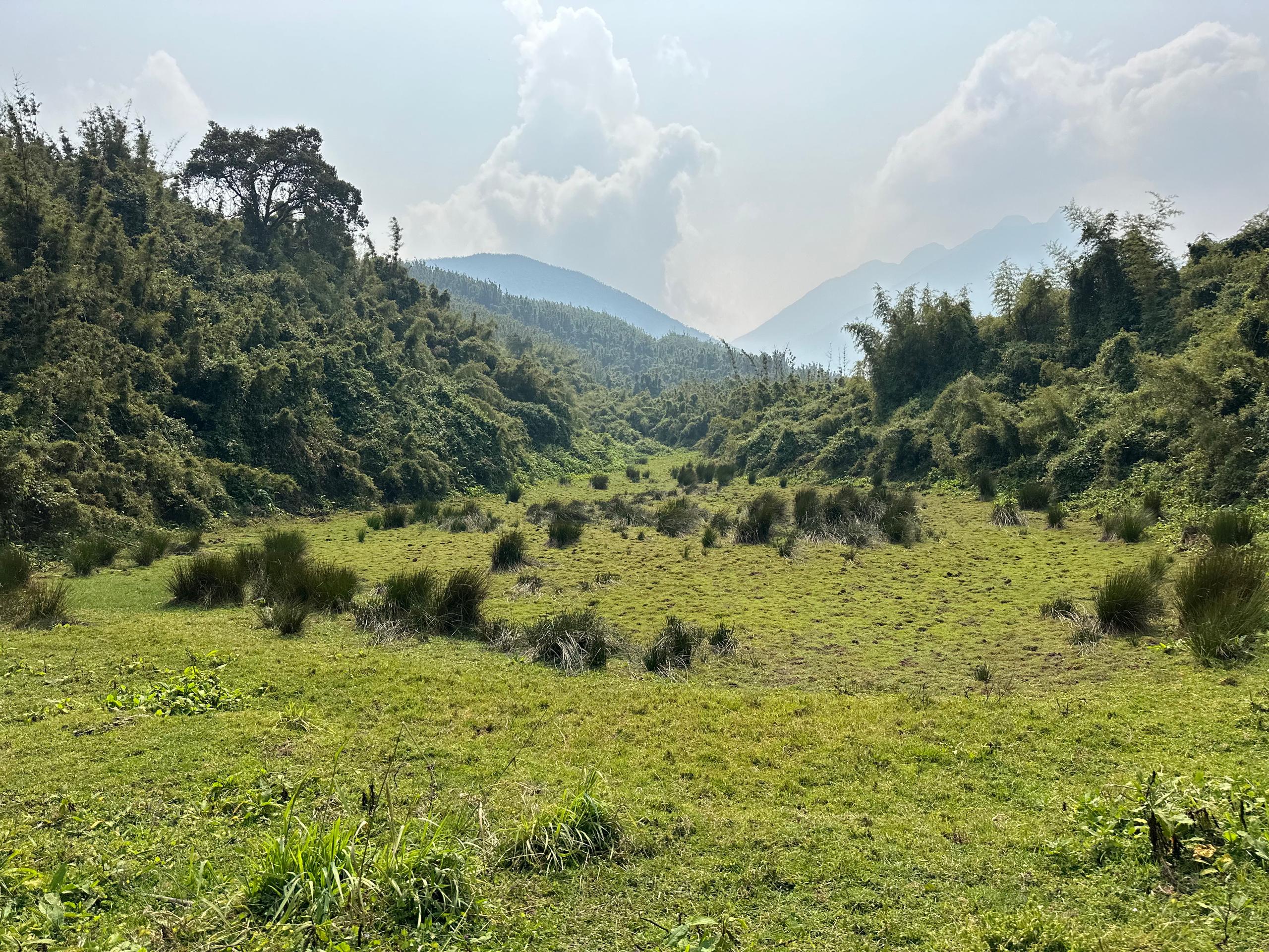 Gallery image for Honoring Nature’s Guardians: World Ranger Day and 100 Years of Protection in the Virunga Massif
