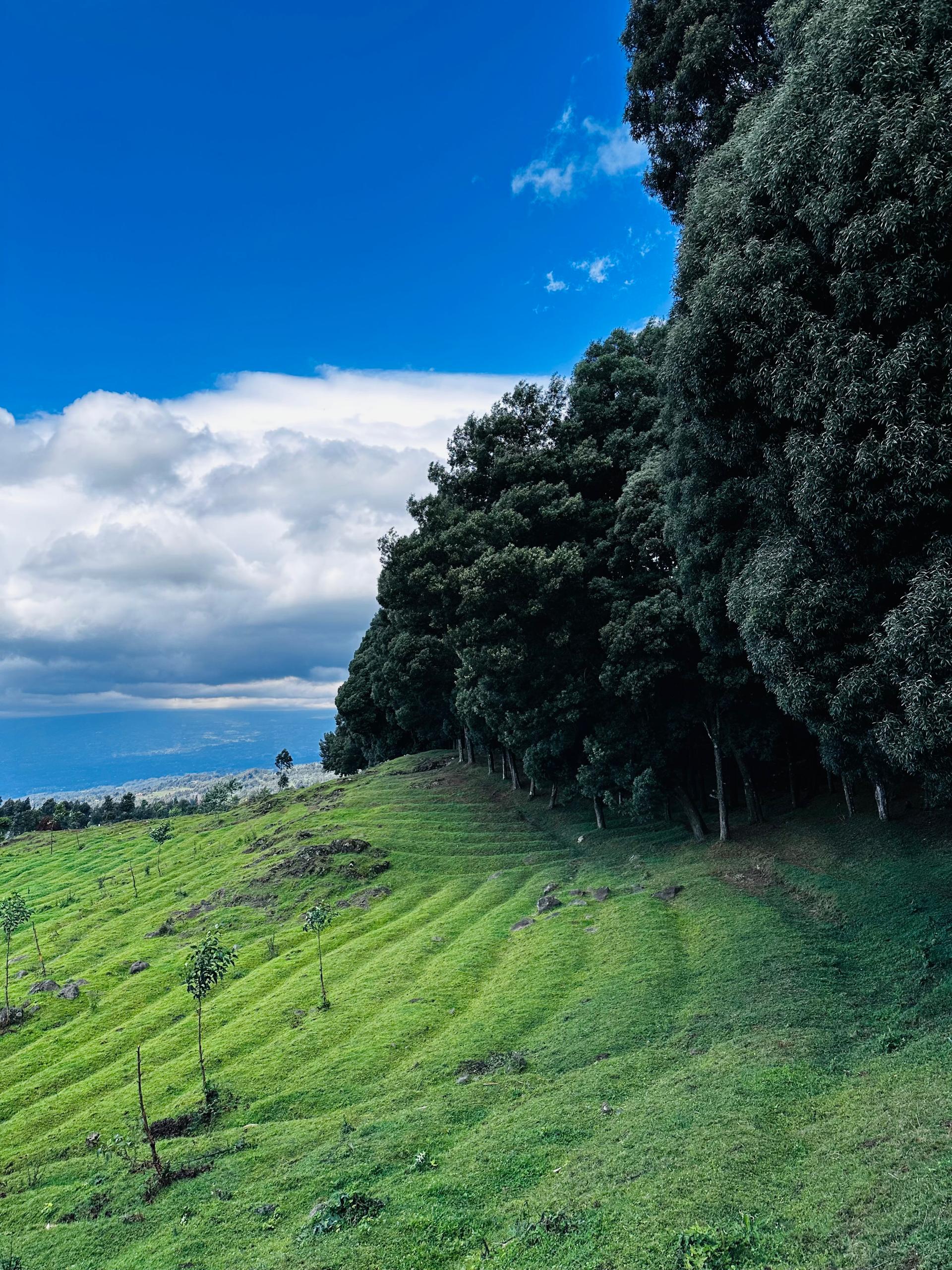 Gallery image for Honoring Nature’s Guardians: World Ranger Day and 100 Years of Protection in the Virunga Massif