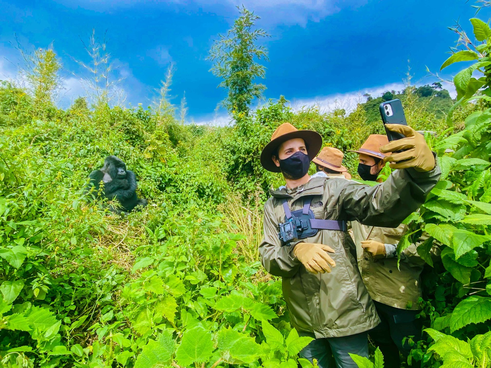Gallery image for Kwita Izina 2025 – Rwanda’s 20th Gorilla Naming Ceremony