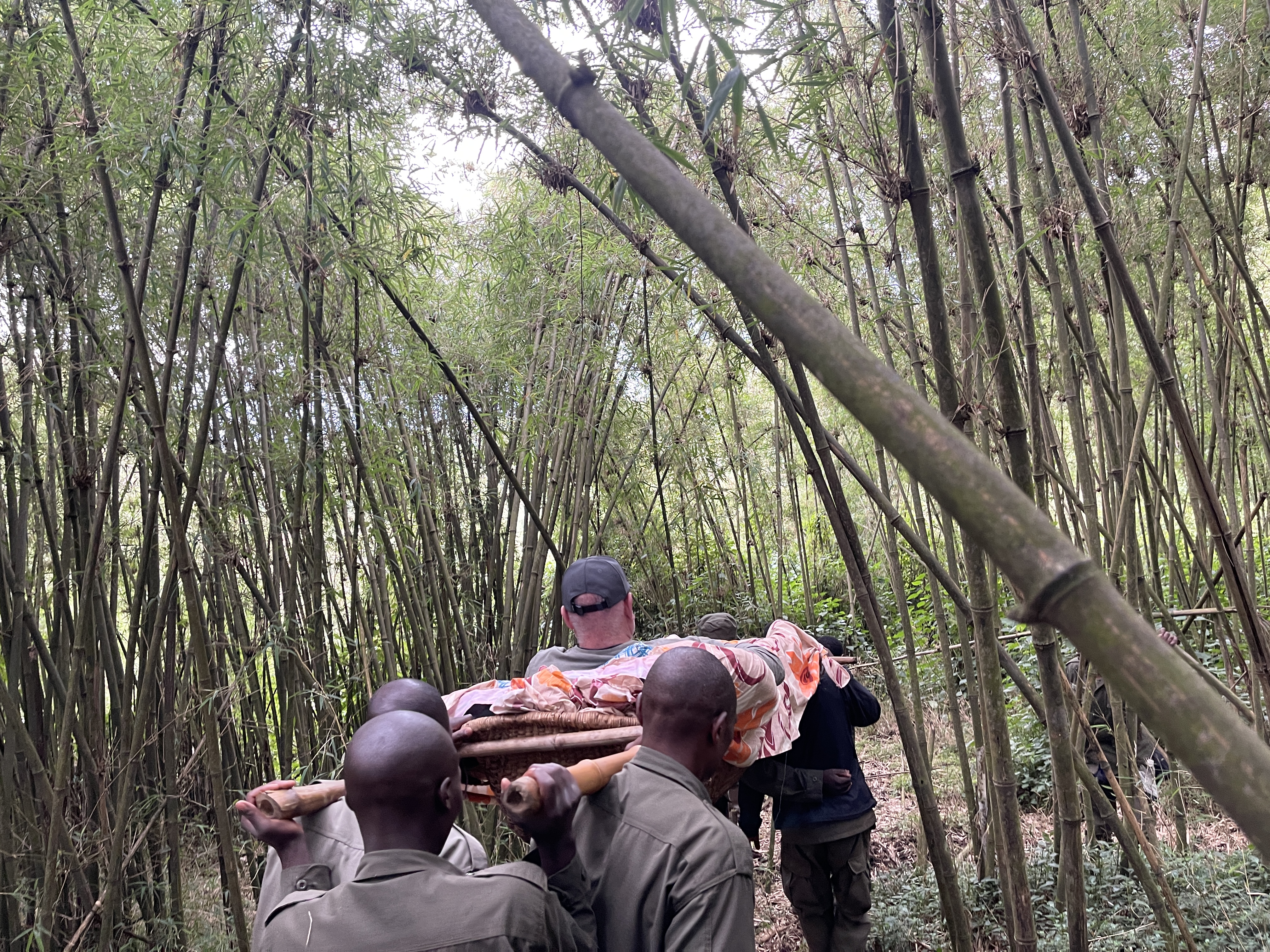 Gallery image for Pack with Purpose: Essential Tips for Your Unforgettable Gorilla Trek in Rwanda