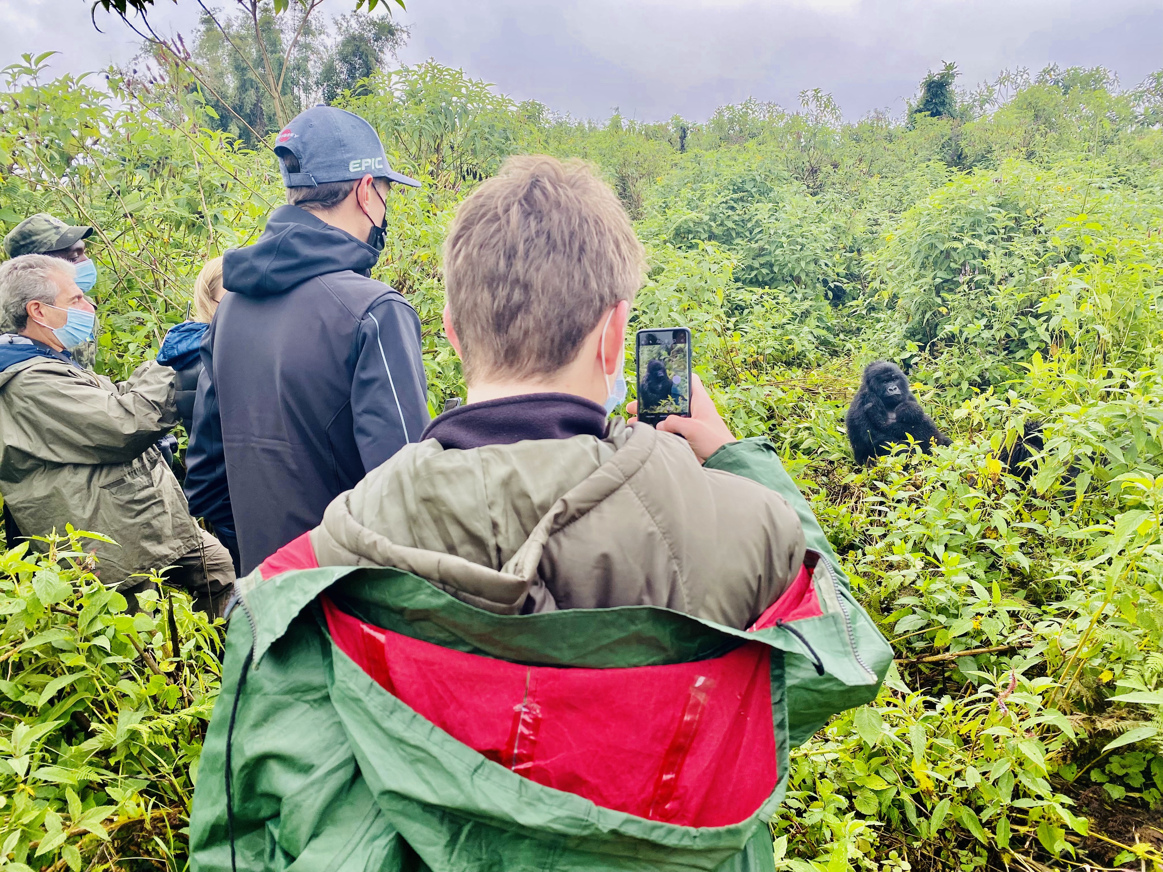 Gallery image for Pack with Purpose: Essential Tips for Your Unforgettable Gorilla Trek in Rwanda
