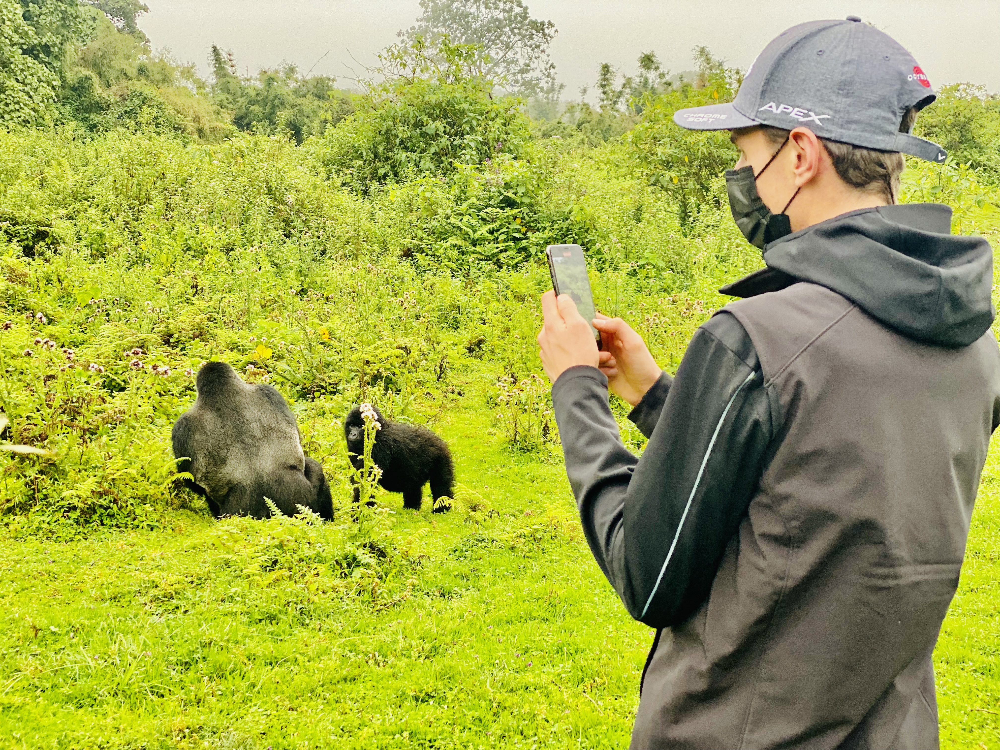 Gallery image for Why December is the Perfect Month for Gorilla Trekking in Rwanda