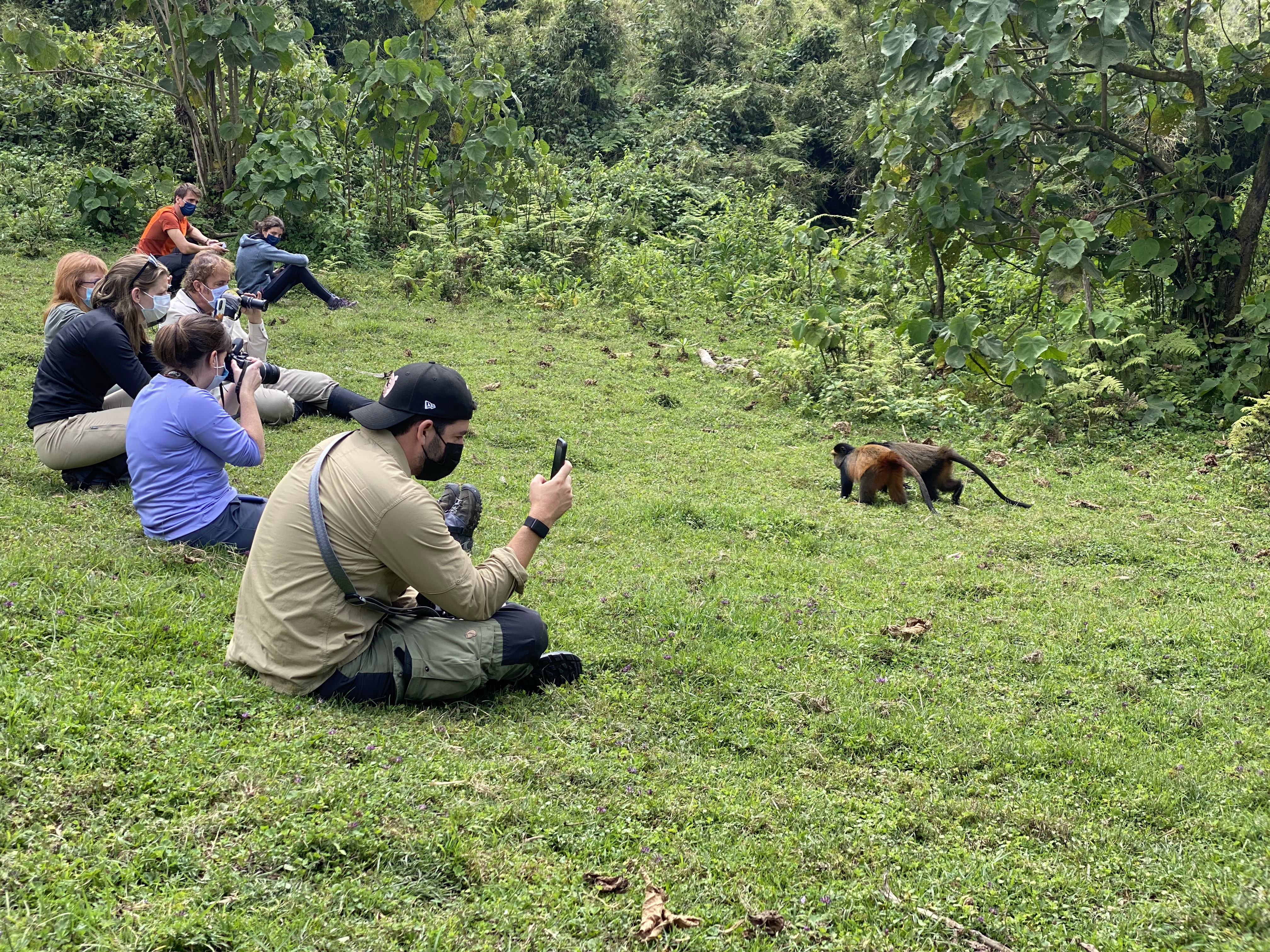 Gallery image for Why December is the Perfect Month for Gorilla Trekking in Rwanda