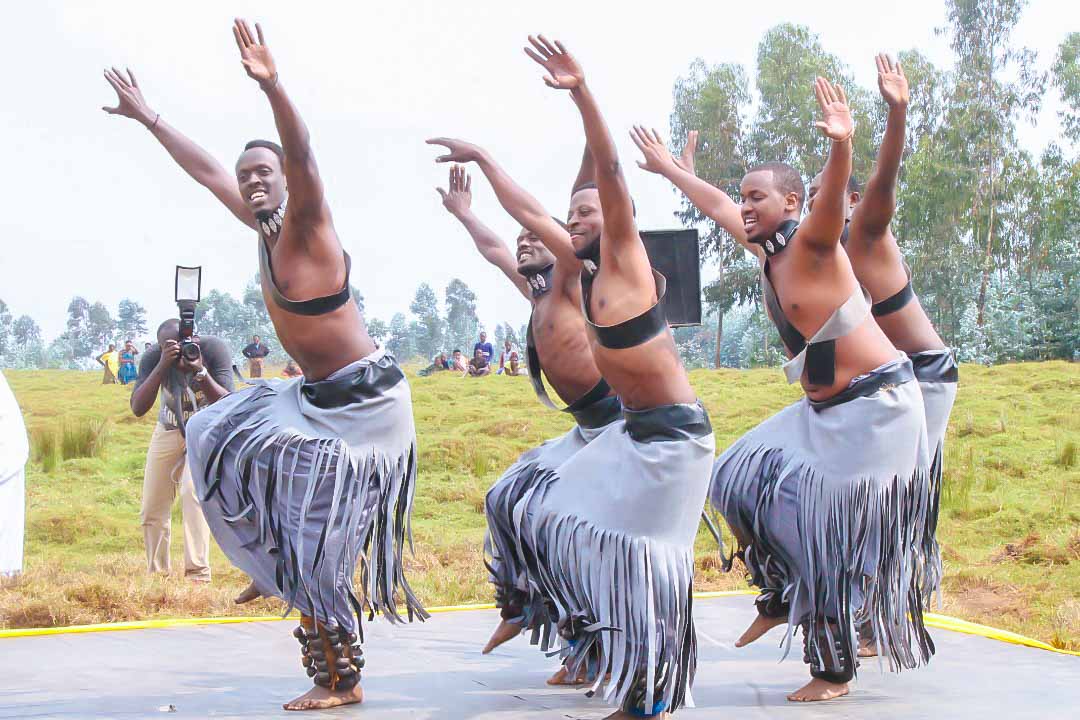 First Time on a Safari?