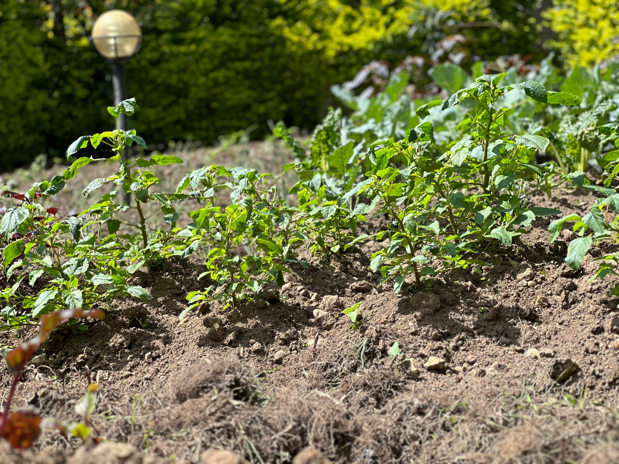 Farm and Cultural Heritage