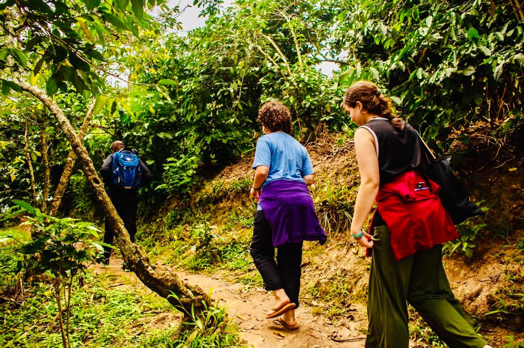 Eco-Hike Through Rwanda’s Countryside