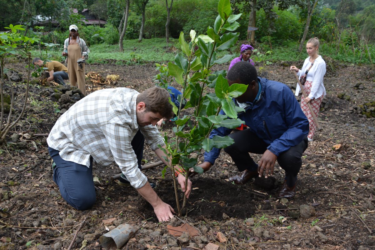 Rwanda Wildlife & Conservation Adventure – Safeguard Endangered Species