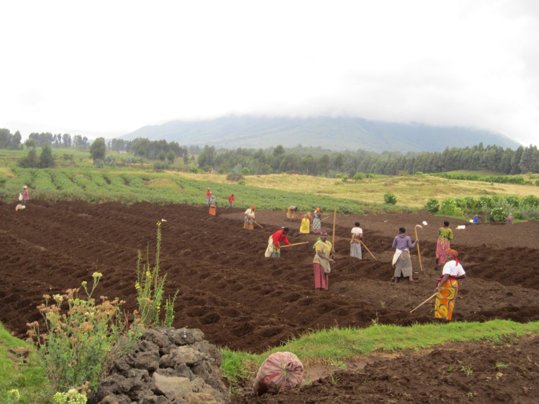 Rwanda Umuganda Experience – Participate in Local Community Service