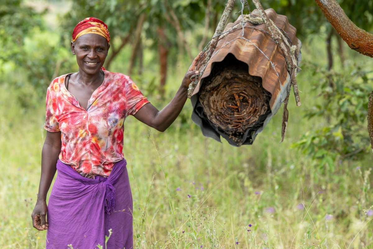 Rwanda Beekeeping Experience: Discover Honey Production