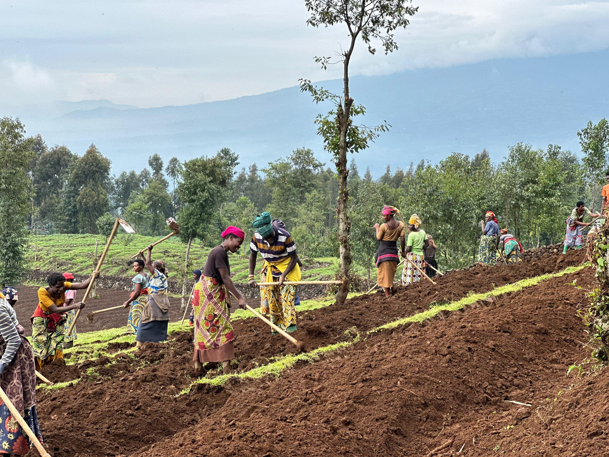 Agricultural Support