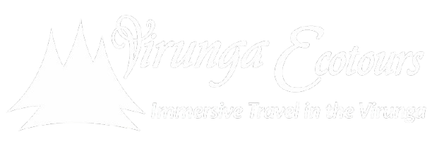 Virunga Ecotours Logo