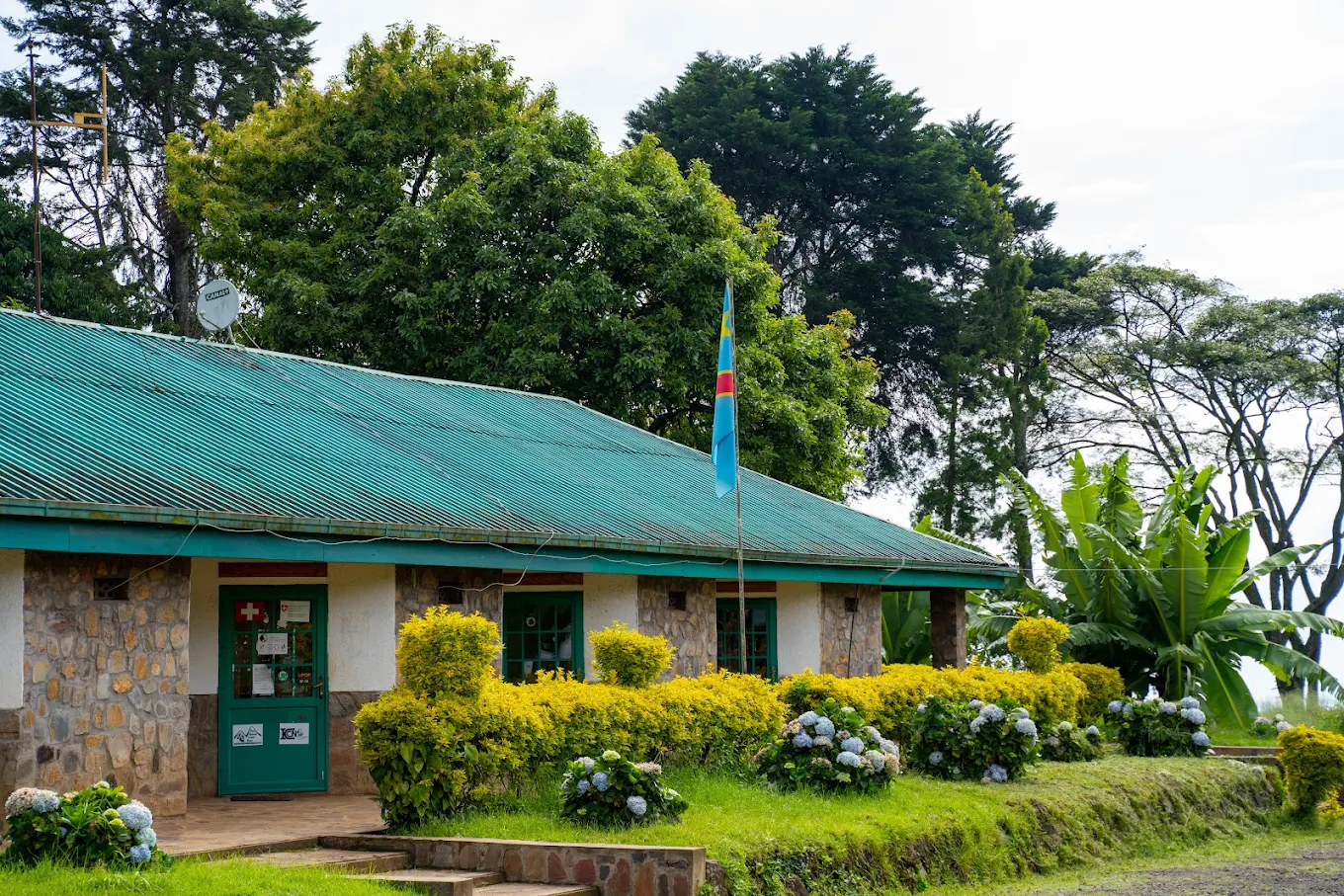 3-Day Kahuzi-Biega Gorilla Trekking and Wildlife Safari