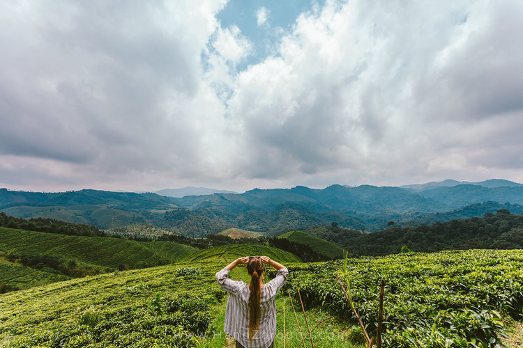 3-Day Gishwati-Mukura Nature Escape