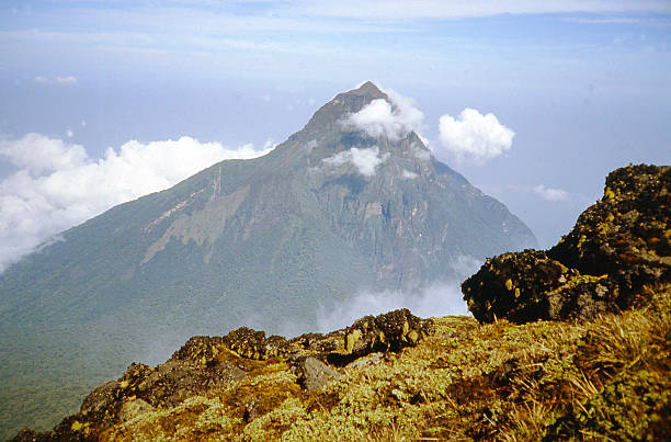 4-Day Virunga and Mikeno Gorilla Trekking Adventure